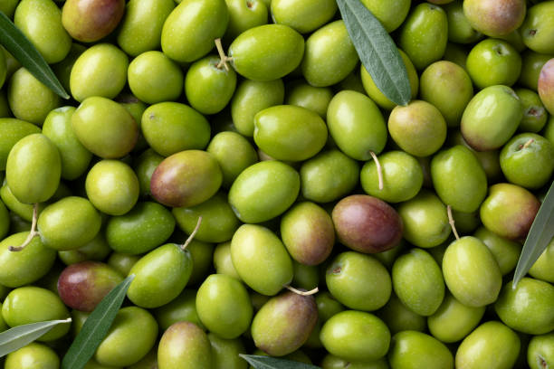 Fresh raw green olives and leaves close up full frame as background