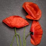 Kaip sukurti sėkmingą elektroninę parduotuvę sveikatos produktams: nuo nišos pasirinkimo iki klientų išlaikymo strategijų